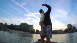 IMA Little Stik | When You Want a Walking Bait That Pushes Water