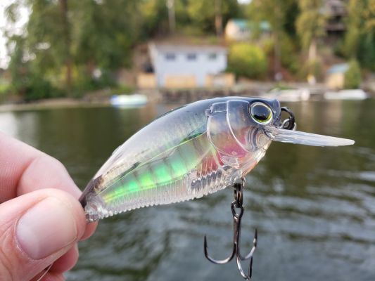 Specs
This Yo-Zuri square bill crankbait is a 70mm size which is 2 &frac34;-inches long and has a slightly longer body than many baits in this category. It weighs in at 9/16-ounces. and casts easily.&nbsp;