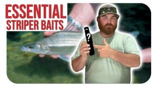 These Striper Baits Are CRUCIAL!