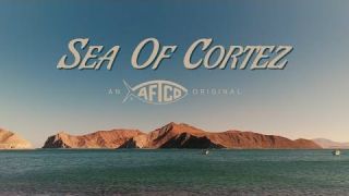 Sea of Cortez | AFTCO Original Film