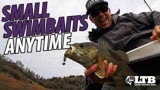 Tackle How-To | Fishing Small Swimbaits Anytime! #LTB