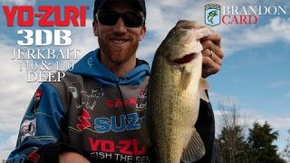 Jerkbait Fishing with Bassmaster Elite Series Pro, Brandon Card