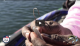 Jimmy Houston Knot & D-Shad rigging How-to tutorial VIDEO