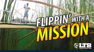 Tackle How-To: Flip & Punch #LTB #Mustad