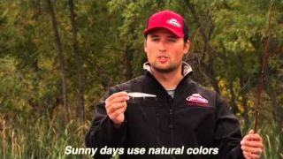 Jerkbait Color Selection with Justin Lucas