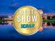 2023 ICAST Best of Awards