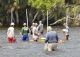 Restore aquatic habitat in Lake George