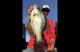 New Record Crappie Caught at Melones While Bass Fishing