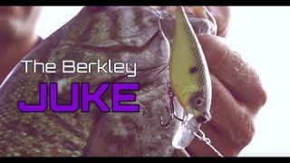 The NEW Berkley® Juke | Its Coming
