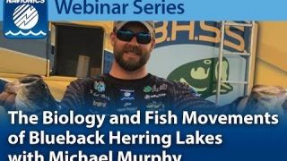 Navionics Webinar | The Biology and Fish Movements of Blueback Herring Lakes