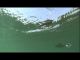 Underwater Viewpoint | Yamamoto Baits In Action