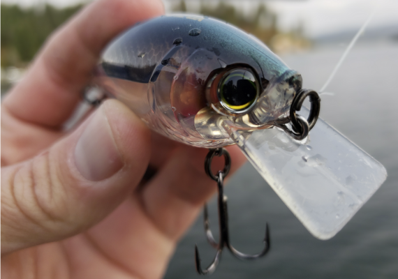 Fishing the Yo-Zuri 3DR Shallow Crankbait 70 (F)
This is a square bill crankbait, but the bill has a much different look than most baits that have a standard rectangular shaped bill. The lower part of the bill is tapered out and forms angles that help to deflect off of cover in a different manner.
&nbsp;