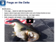 Frog Fishing the Delta Webinar | VIDEO