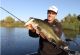 Tips for Fishing Surface Baits
