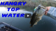 Some topwater and reaction baits out on the river VIDEO