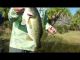 Bass Fishing with the New Grip Pin Big Bite with Dan Hill