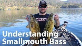 Understanding Smallmouth Bass