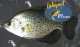 Crappie Fishing Clinic | Space is Limited!