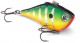 Custom Color Rippin' Raps from Rapala