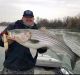 Two 40-pound stripers from Sac River same day