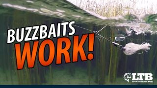 Tackle How-To: Fishing Buzzbaits #LTB #Seaguar