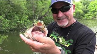 Fishing the Moment! Choosing the Right Frog and Boat Control!
