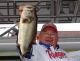 California’s Top 40 Bass Anglers From The Last 30 Years