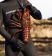 2022-2023 recreational spiny lobster season