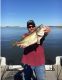 Update from Hogan | Fishing Report April 4