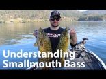 Understanding Smallmouth Bass