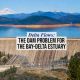 The Dam Problem for the Bay-Delta Estuary