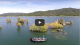 Video - Folsom Lake Fishing Report - FPT Tourney