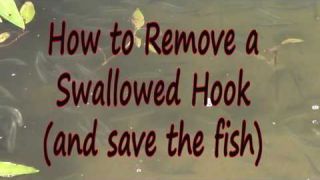 How To Remove a Swallowed Hook, and Save the Fish
