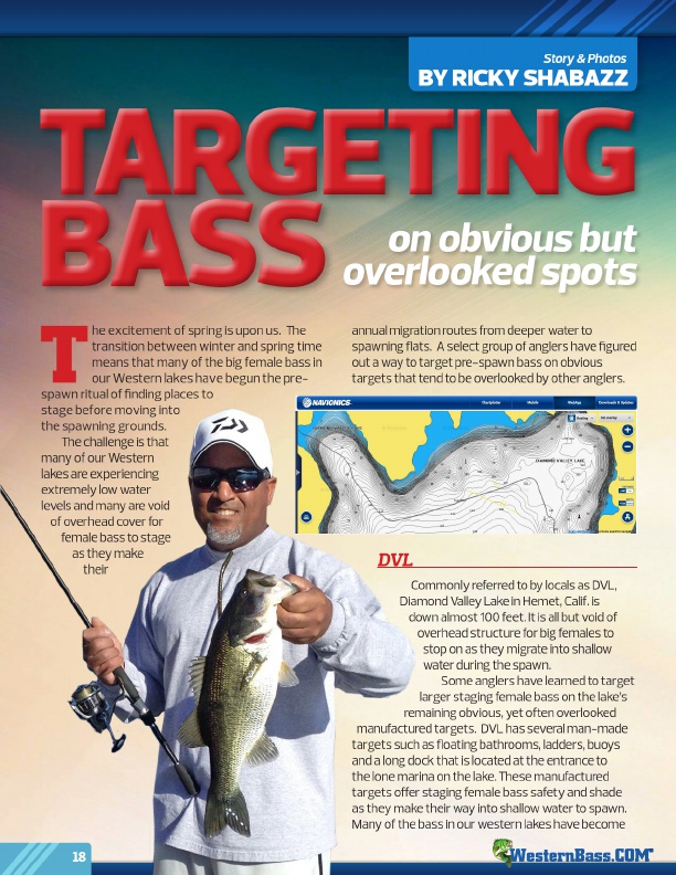 Targeting Bass-On Obvious But Overlooked Spots by Ricky Shabazz