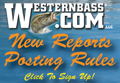 WesternBass Reports