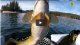 Smallmouth Bass Fishing FISH OF MYSTERY & MAGIC Angling Ca VIDEO