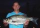 STATE-RECORD HYBRID STRIPED BASS CAUGHT
