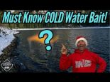 The Secret to Winter Bass Fishing! (Sneaky Bait!)