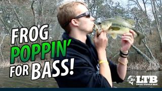 Tackle How-To: Frog Fishin' #LTB