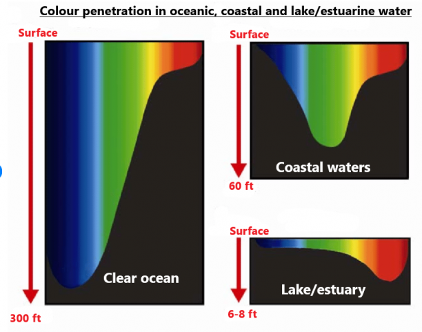 Screenshot (491).png (283.89 KiB) Viewed 643 times Screenshot (491).png