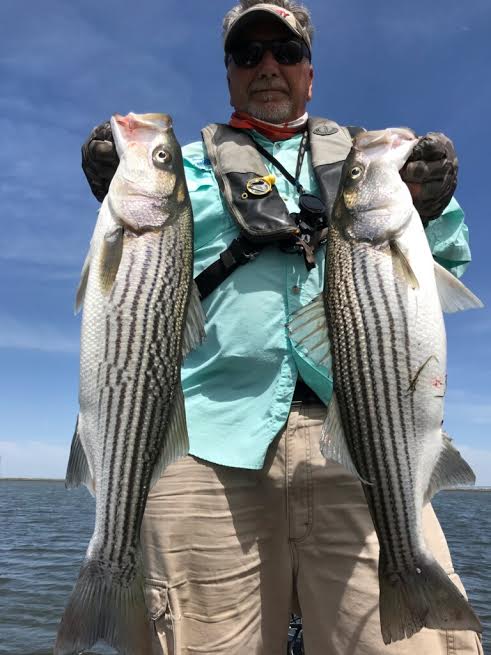 Comprehensive California Delta Fishing Report | Holiday Weekend Heats