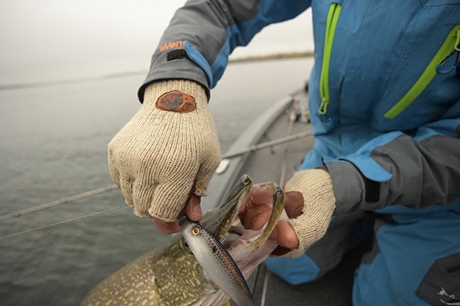 Ensure peak fishing performance through the winter with Fish Monkey |  Westernbass.com