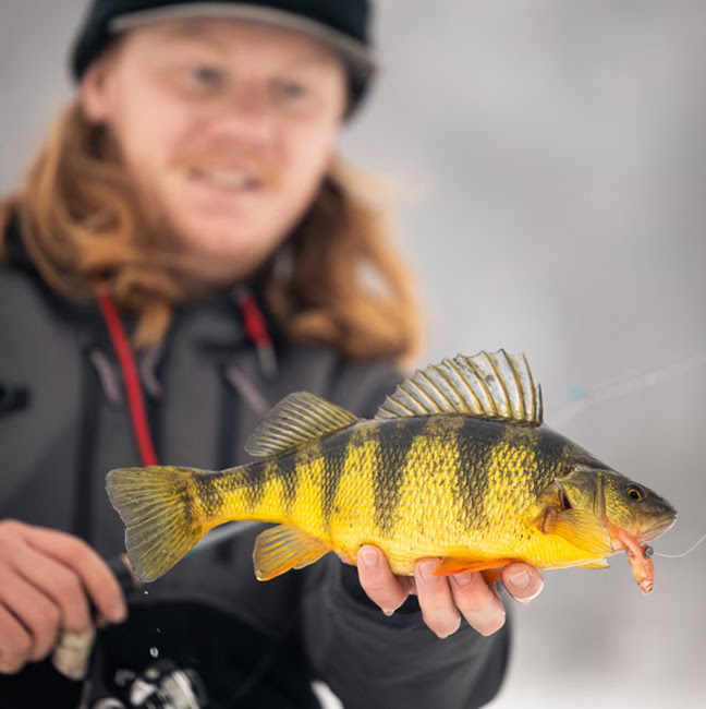 Hunting Backwater Jumbos | Westernbass.com