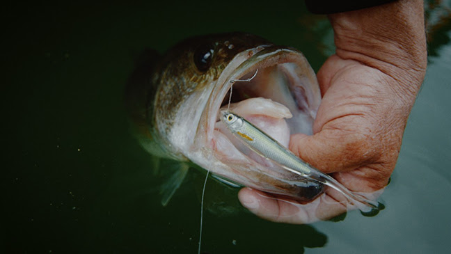 Baits are cloudy/white - Soft Plastics -  - Tackle  Building Forums