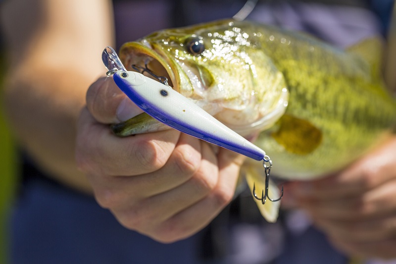 Brent Ehrler Discuss His Signature 7' 4 Med Hvy Daiwa Tatula Elite Glass  Crankbait Casting Rod 