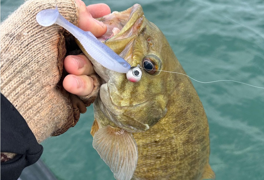 Wobble head season - Fishing Tackle - Bass Fishing Forums